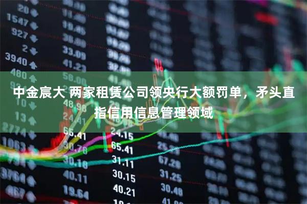 中金宸大 两家租赁公司领央行大额罚单，矛头直指信用信息管理领域