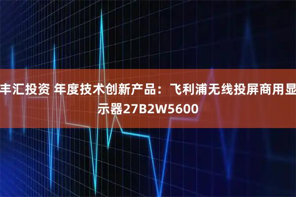 丰汇投资 年度技术创新产品：飞利浦无线投屏商用显示器27B2W5600