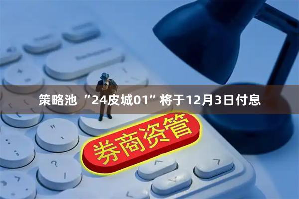 策略池 “24皮城01”将于12月3日付息